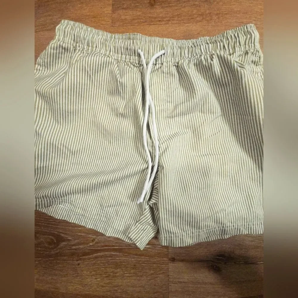Men's Green Striped Swim Shorts